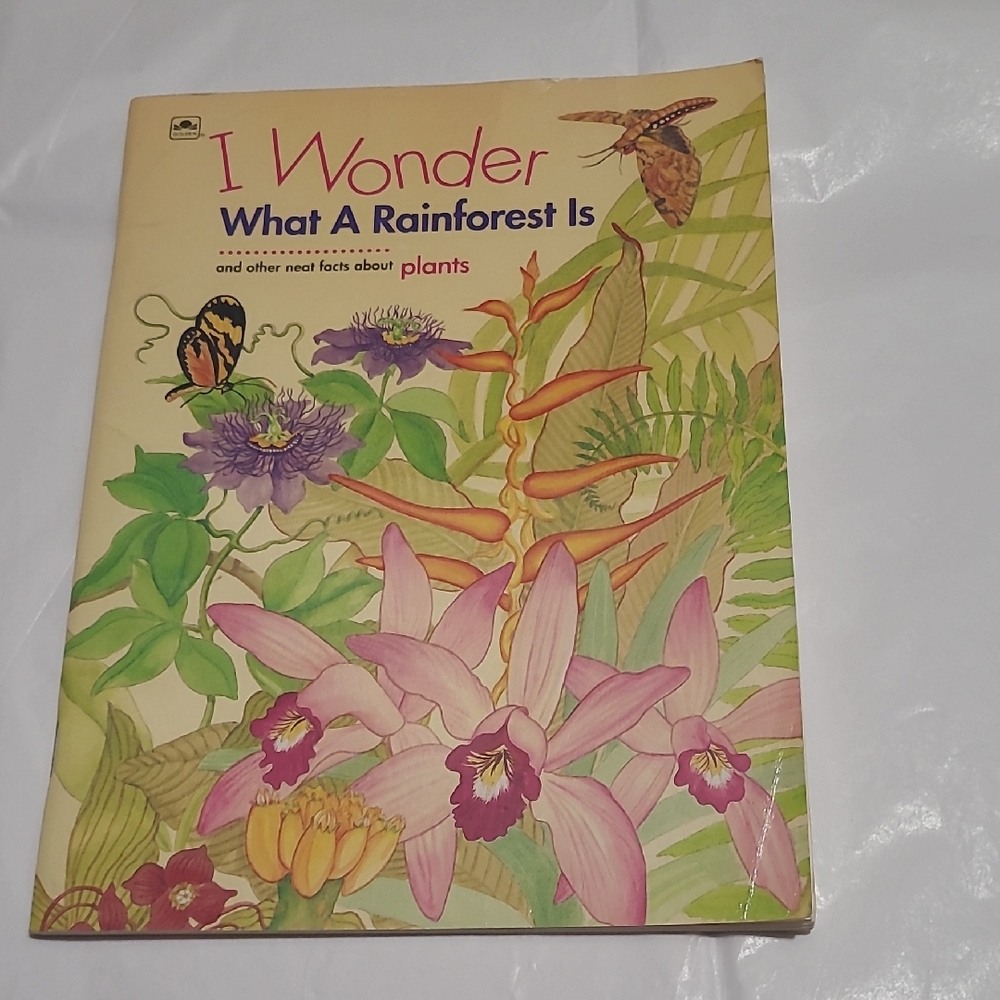 I Wonder What A Rainforest Is Book By Annabelle Donati